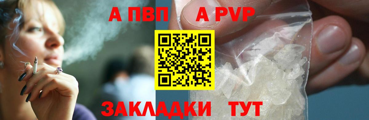Альфа ПВП СК КРИС Мурманск