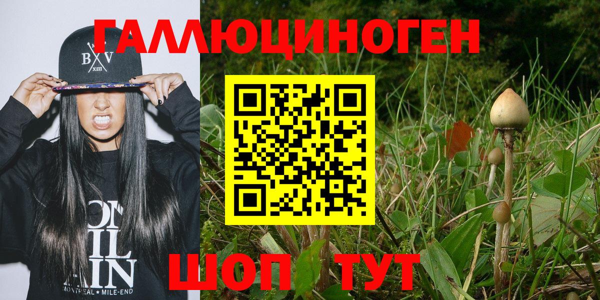 Мурманск  Псилоцибиновые грибы GOLDEN TEACHER  Вход с VPN 