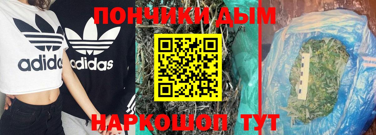 Конопля планчик Мурманск